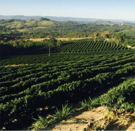 Brasil Eagle Mogiana