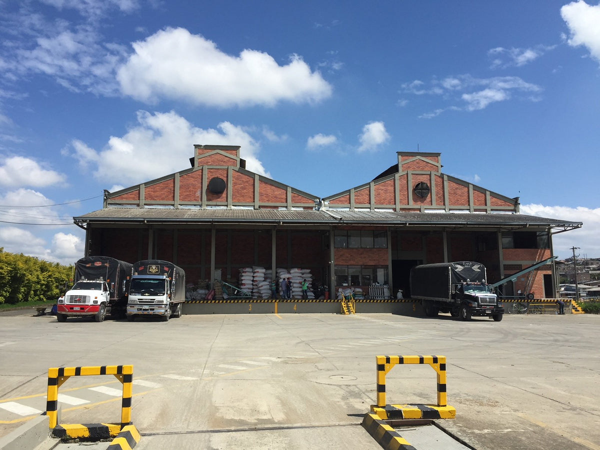 Popayan Reserve Washed - Colombia