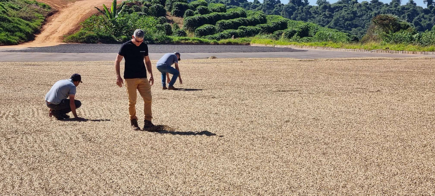 Fazenda Santa Cruz - BRAZIL