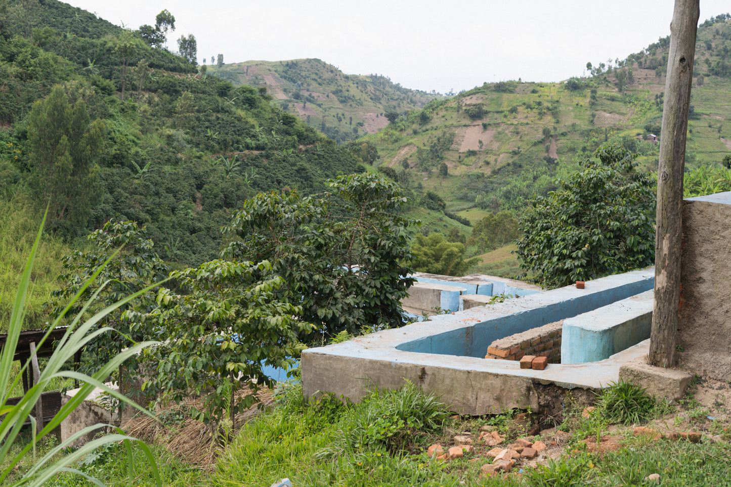 Ethiopia - Banko Gotiti Natural