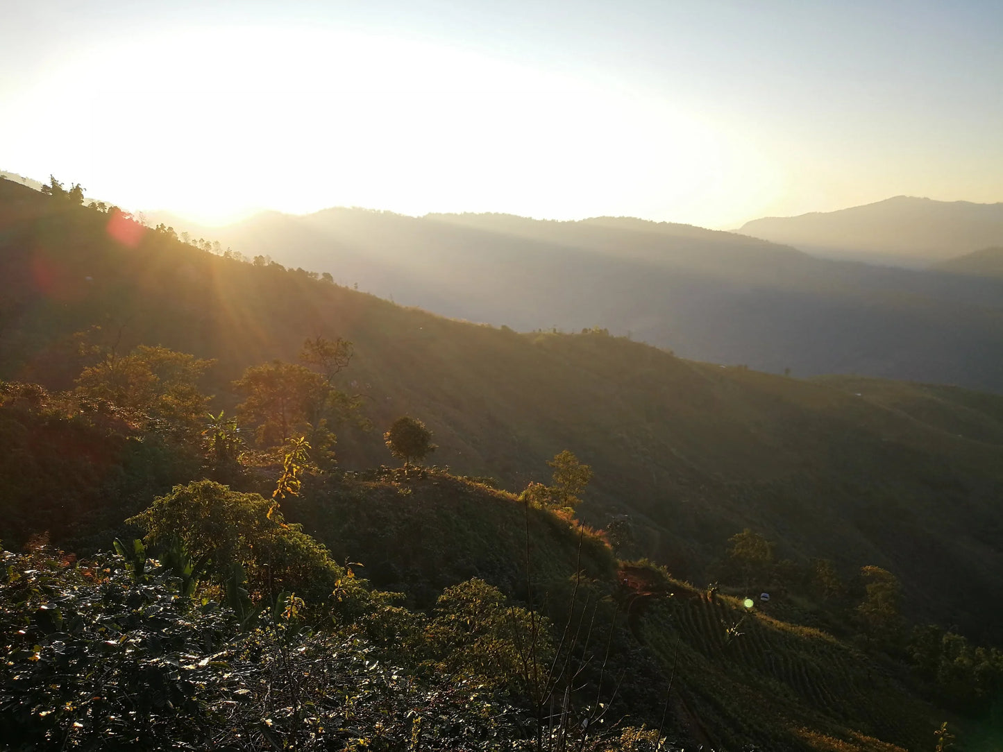 Thailand - Doi Pangkhon, Lactic Anaerobic Natural