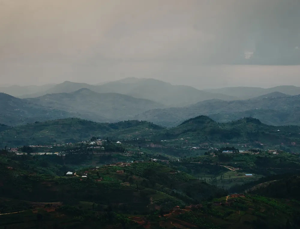 Rwanda - Gasharu Wimana