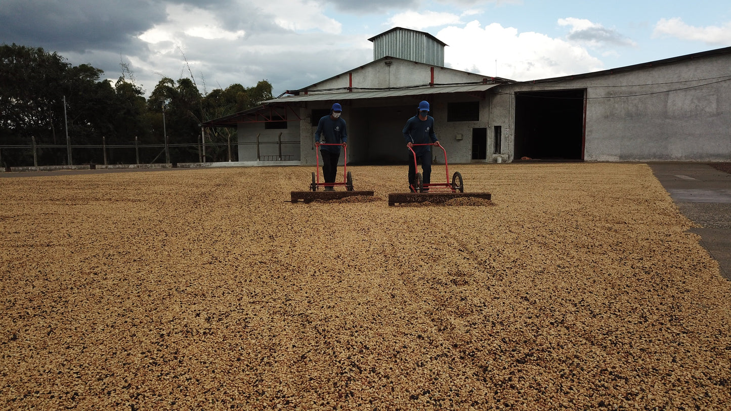 Fazenda Santa Cruz - BRAZIL