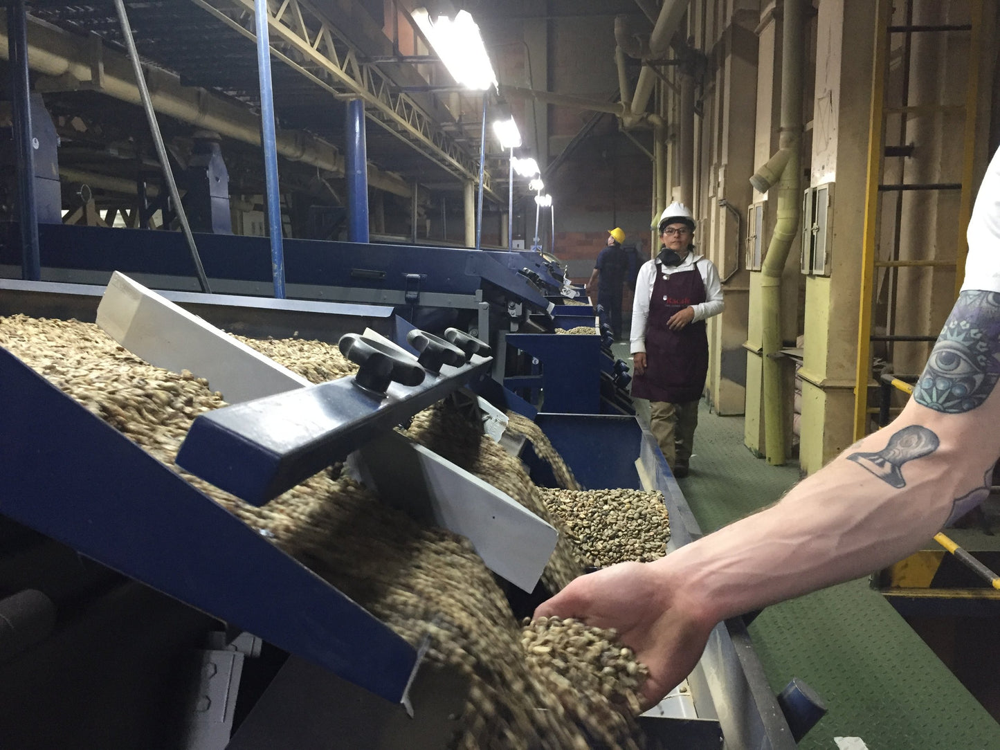 Colombia Popayán Reserve